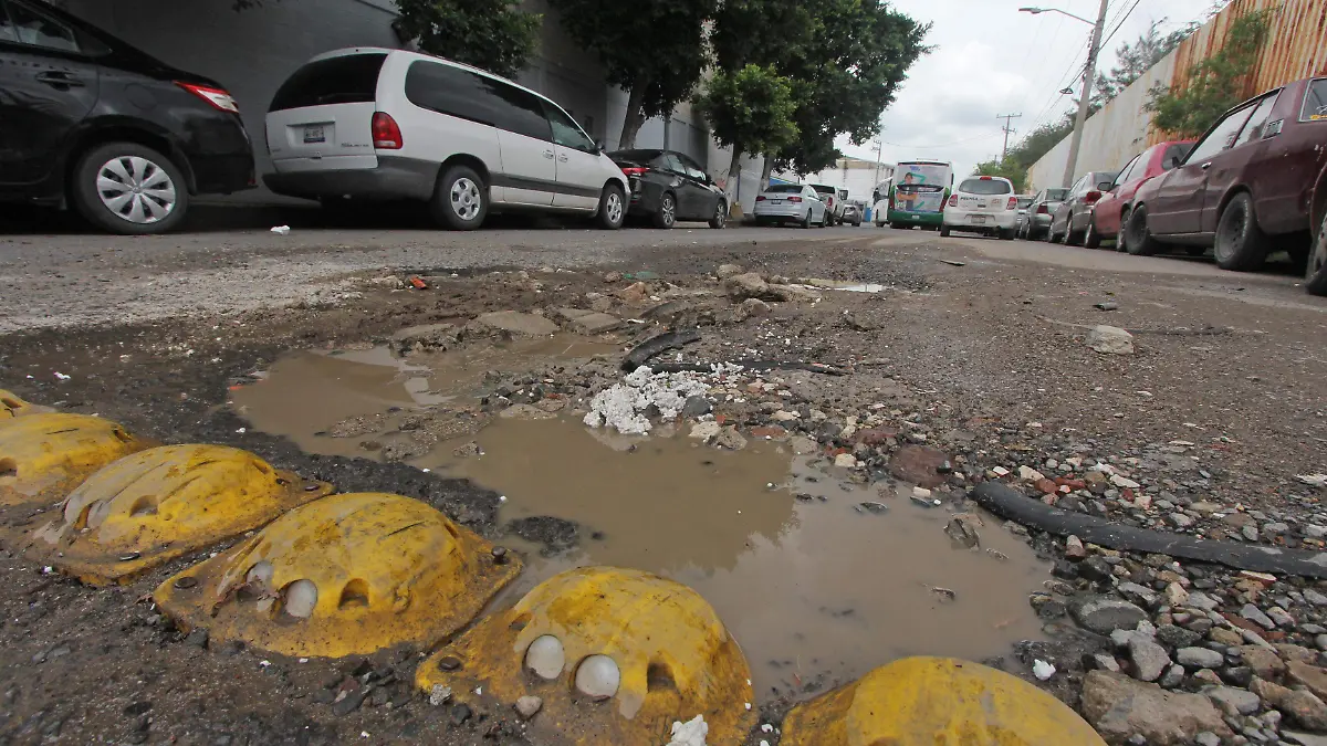 FCO MEZA - BACHES (1)